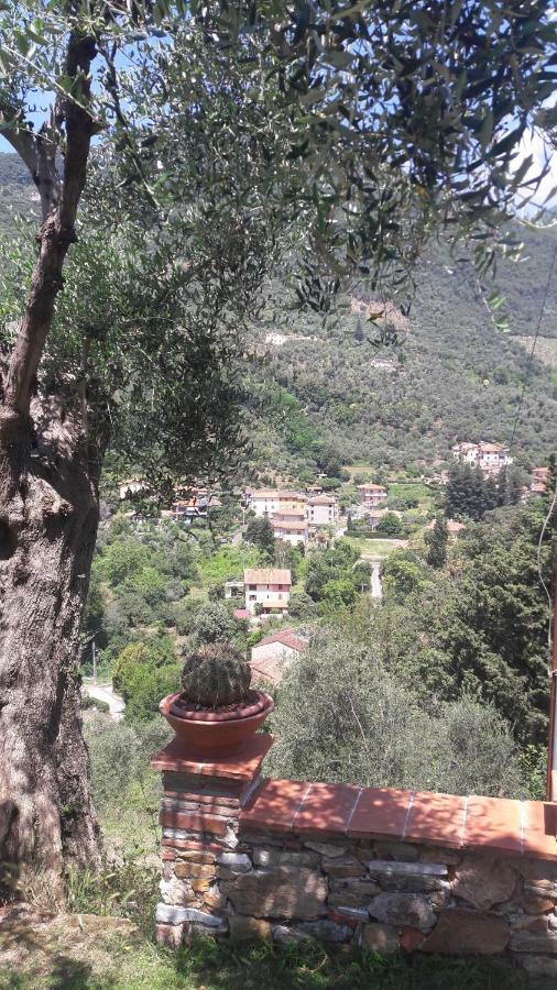 Il Colle Di Abramo Casa Vacanze Enrica Pietrasanta Dış mekan fotoğraf