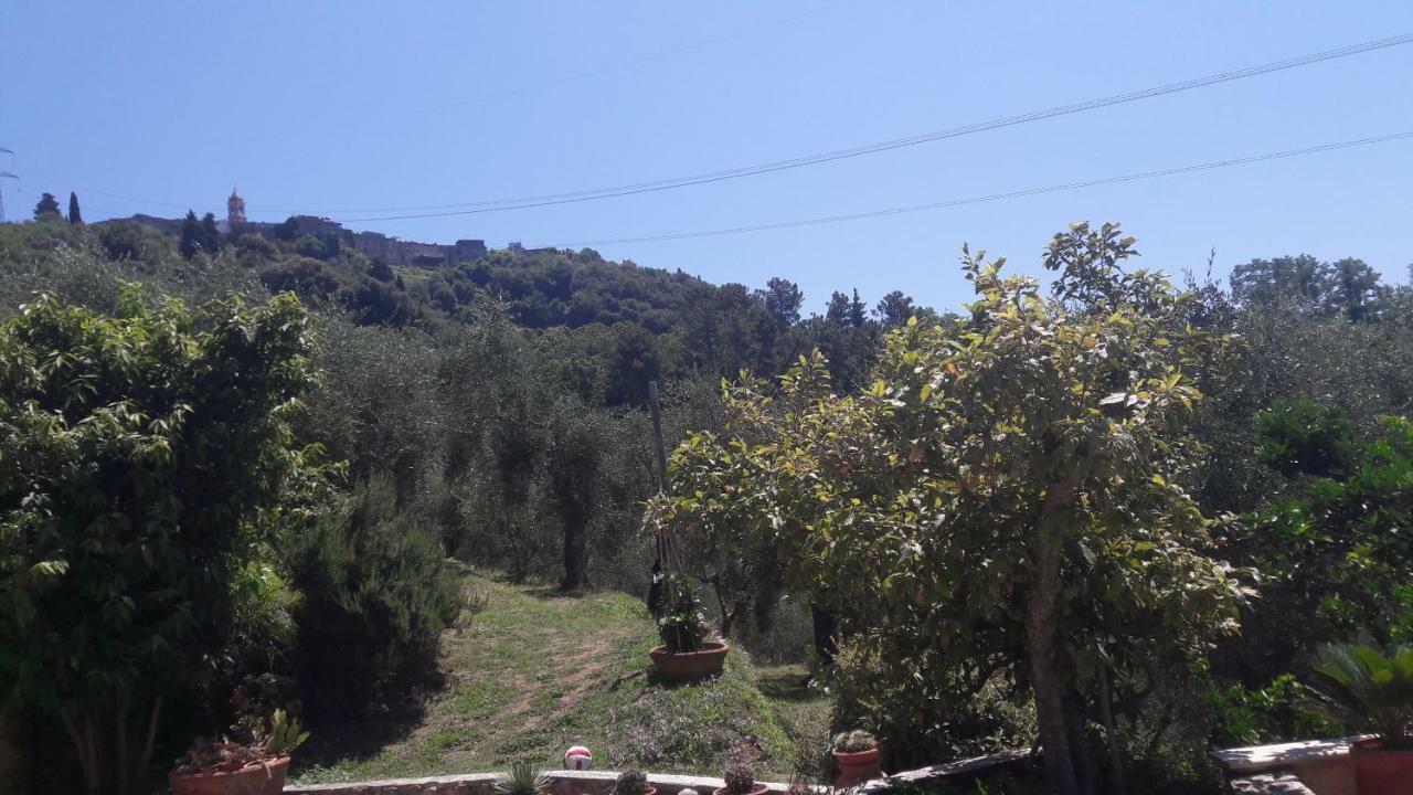 Il Colle Di Abramo Casa Vacanze Enrica Pietrasanta Dış mekan fotoğraf