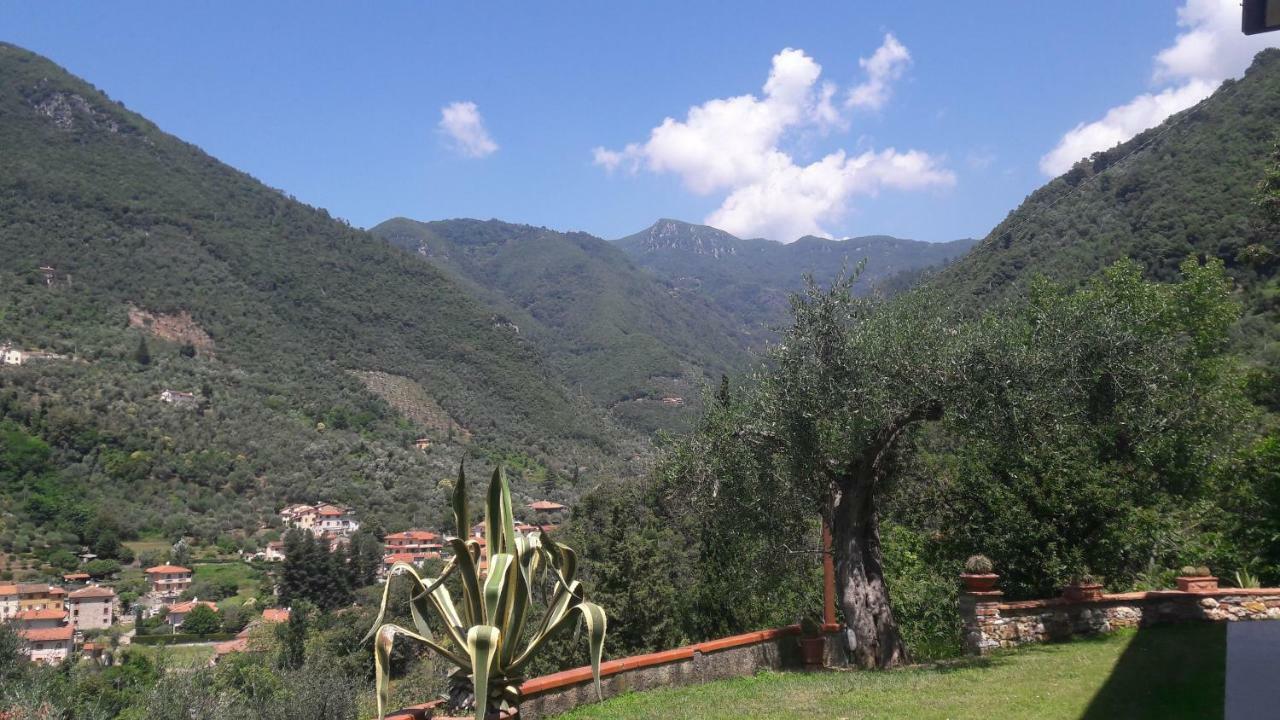 Il Colle Di Abramo Casa Vacanze Enrica Pietrasanta Dış mekan fotoğraf